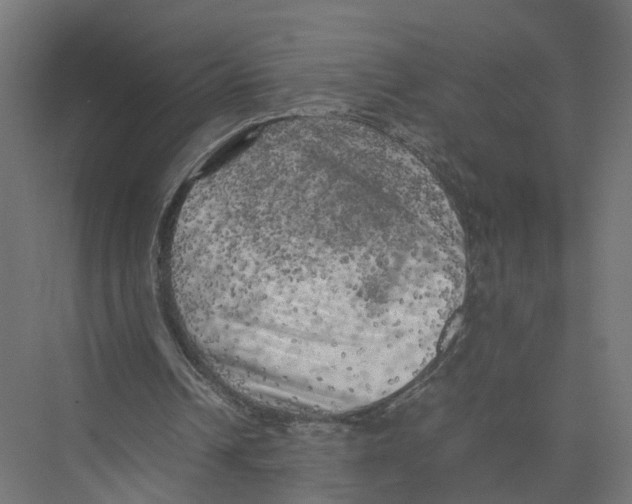 X0000075380242200610061846