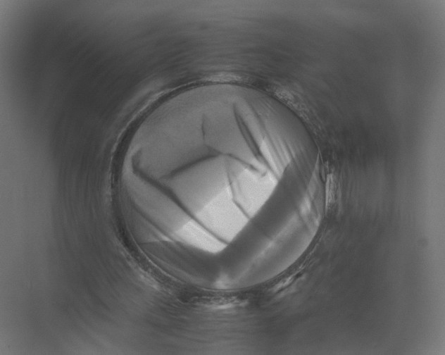 X0000075380243200610061846