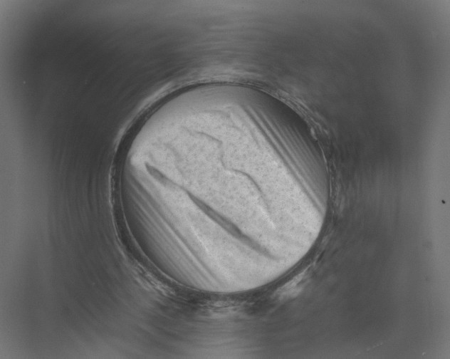 X0000075380244200610061846