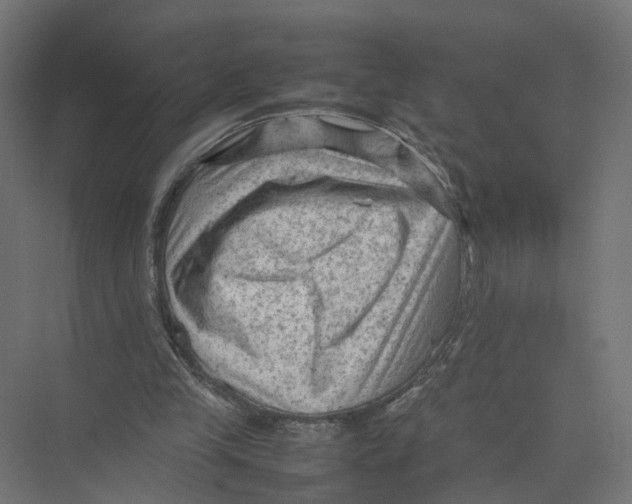 X0000075380245200610061846