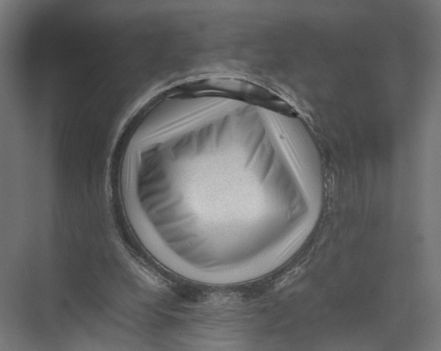 X0000075380248200610061846