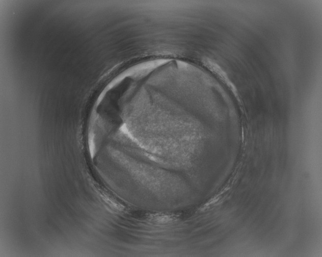 X0000075380249200610061846