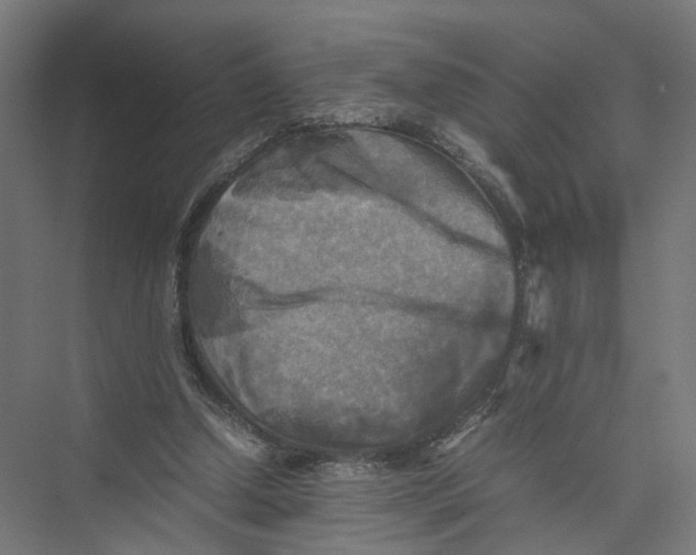 X0000075380250200610061846