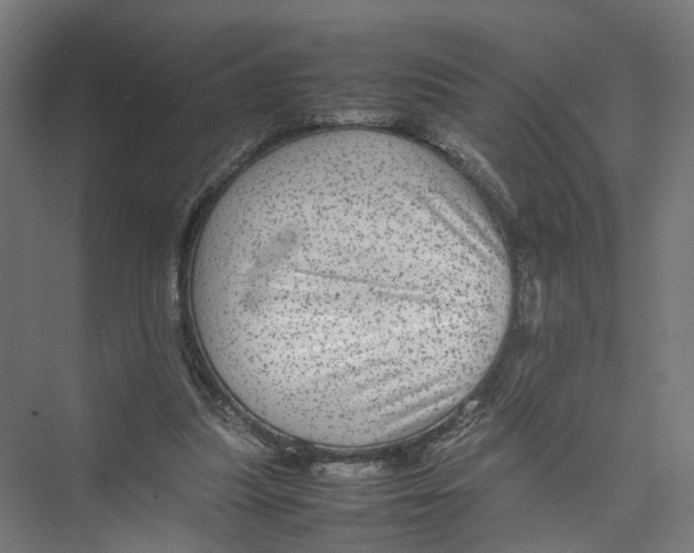 X0000075380251200610061846