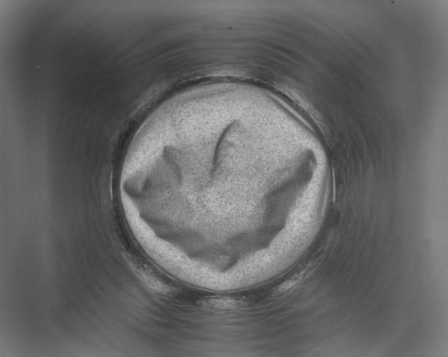 X0000075380253200610061846