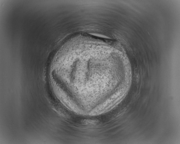 X0000075380255200610061846