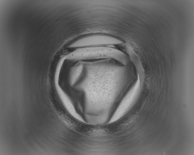 X0000075380256200610061846