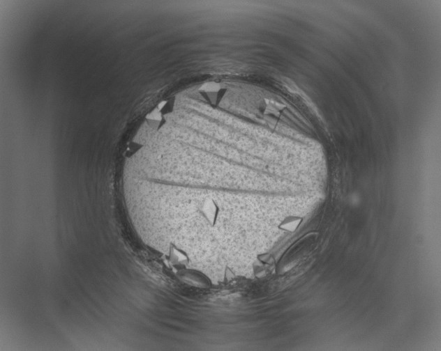 X0000075380257200610061846