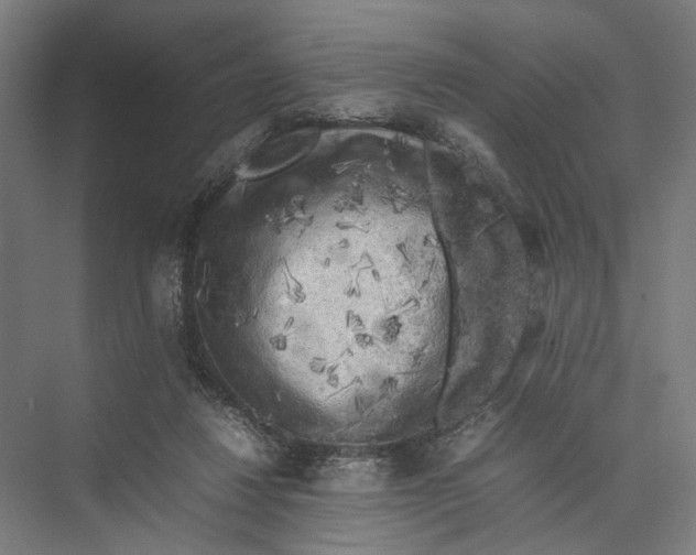 X0000075380260200610061846