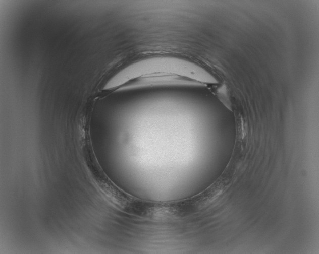 X0000075380264200610061846