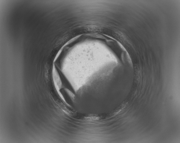 X0000075380266200610061846