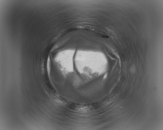 X0000075380267200610061846