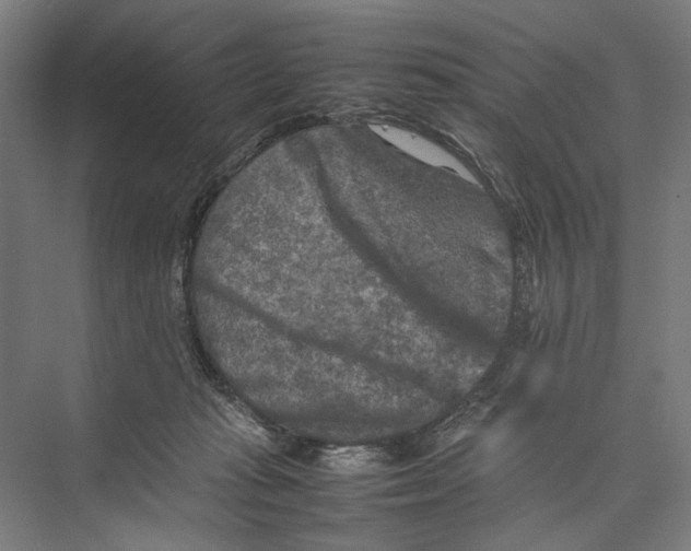 X0000075380269200610061846