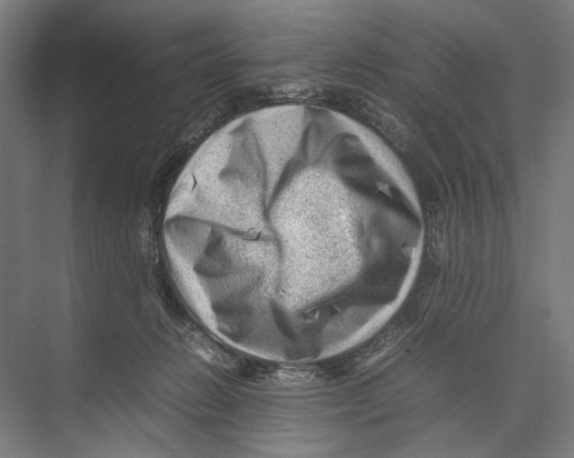 X0000075380270200610061846