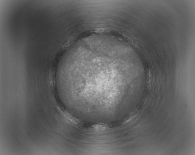 X0000075380272200610061846