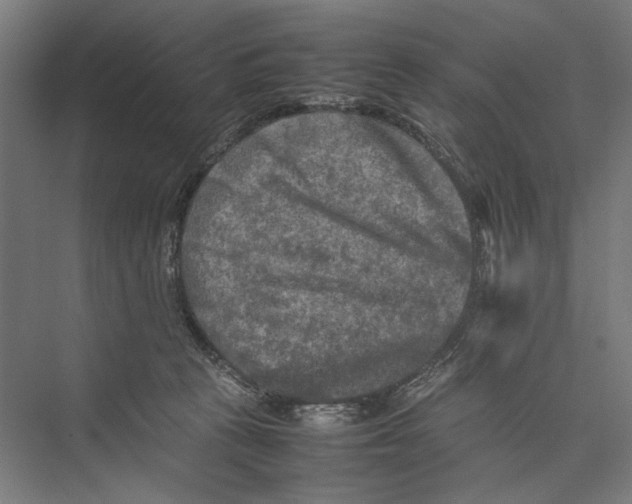 X0000075380273200610061846