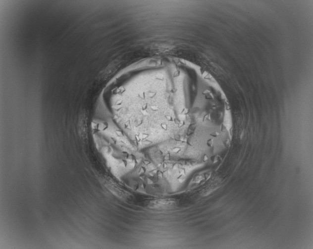 X0000075380274200610061846