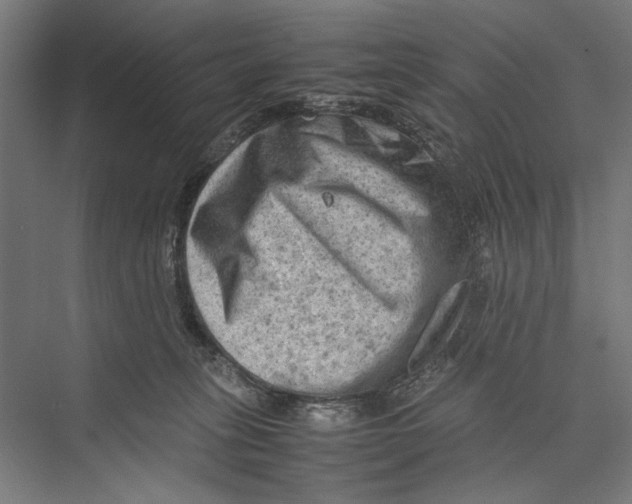 X0000075380275200610061846