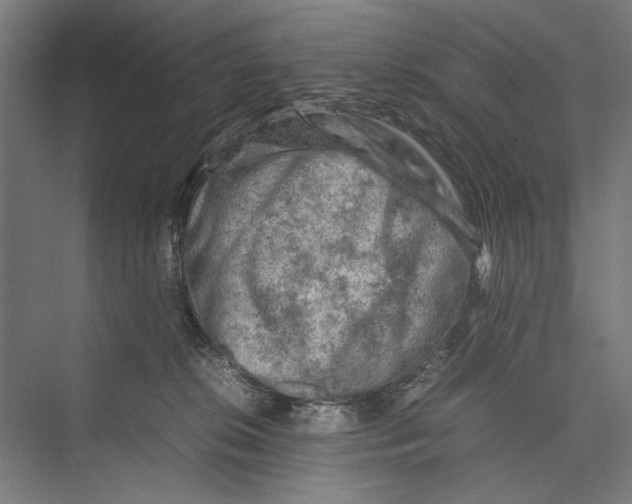 X0000075380276200610061846