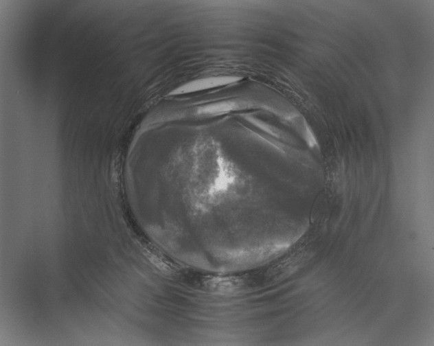 X0000075380277200610061846