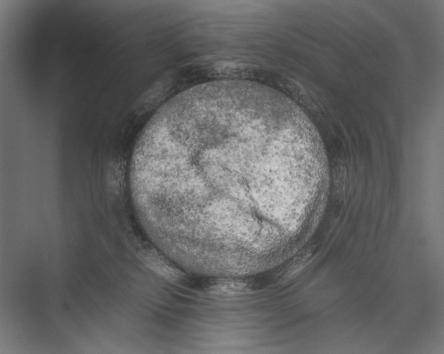 X0000075380278200610061847