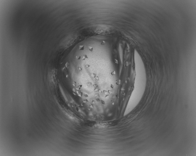 X0000075380280200610061847