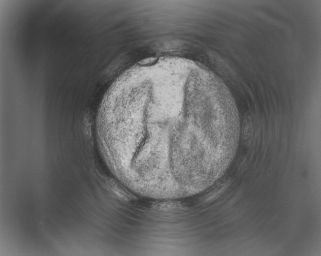 X0000075380282200610061847