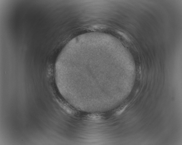 X0000075380284200610061847