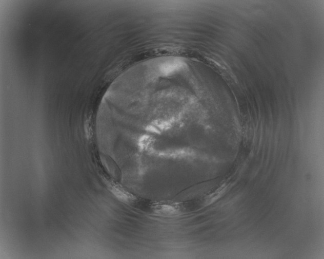 X0000075380285200610061847