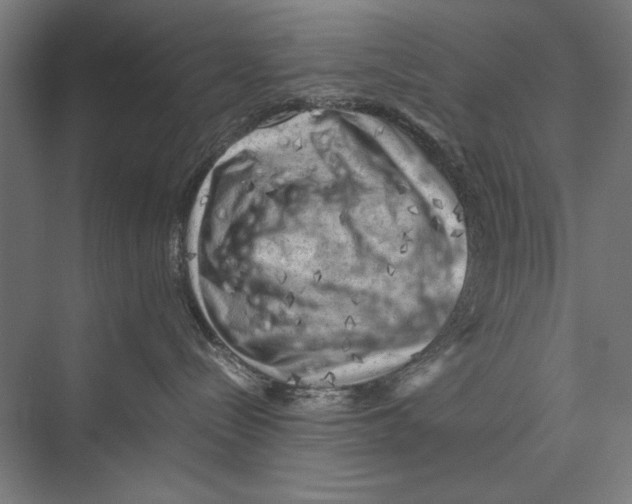 X0000075380288200610061847