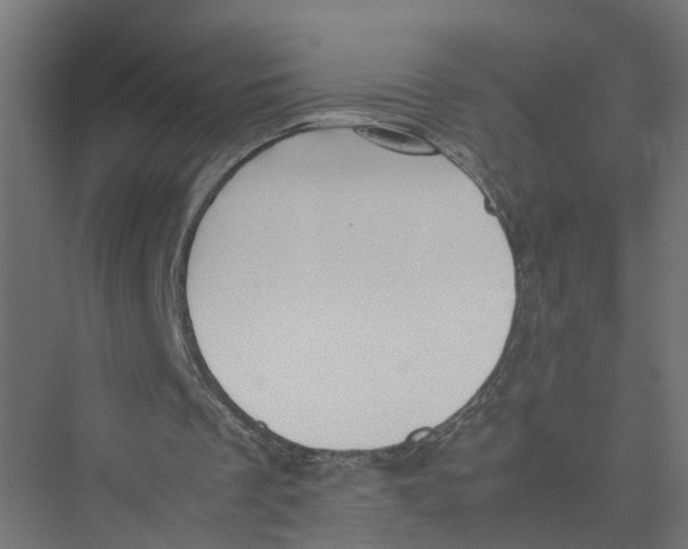 X0000075380289200610061846