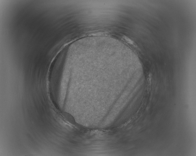 X0000075380290200610061846