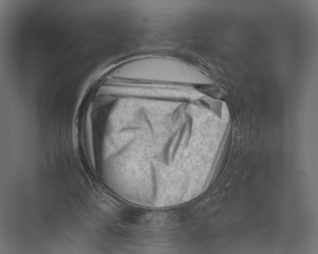 X0000075380294200610061846