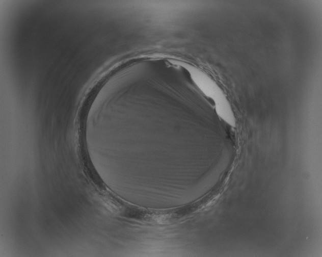 X0000075380295200610061846