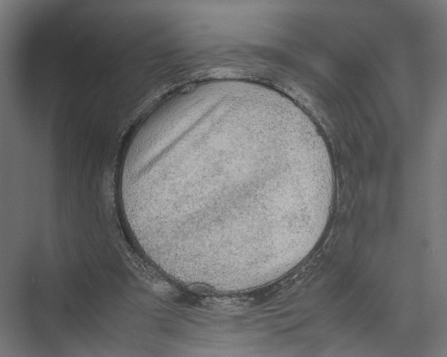 X0000075380297200610061846