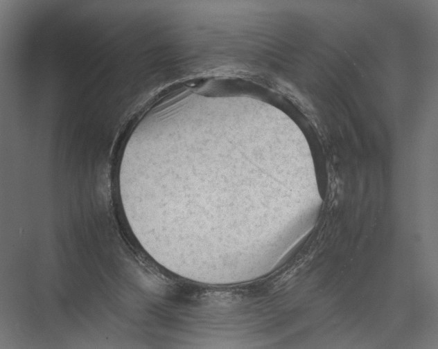 X0000075380298200610061846