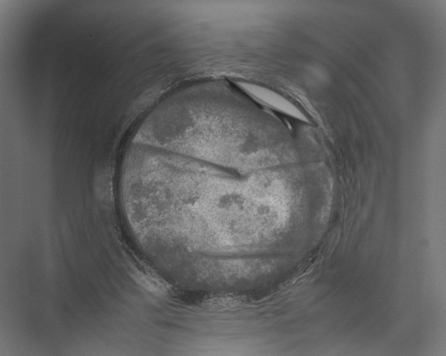 X0000075380299200610061846