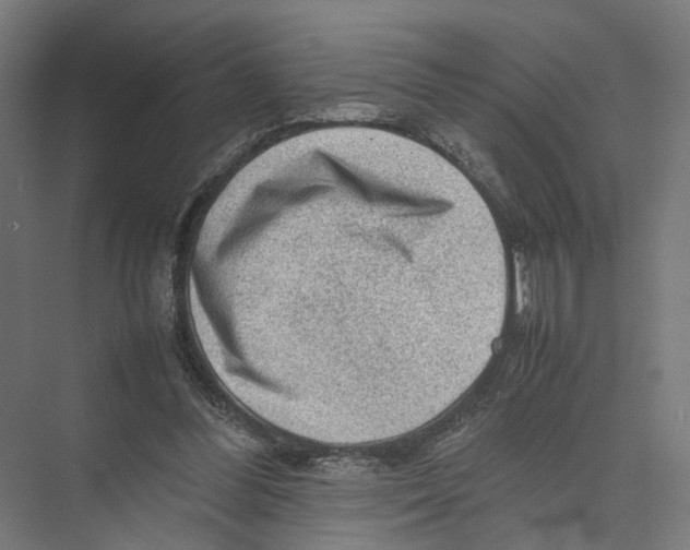 X0000075380300200610061846