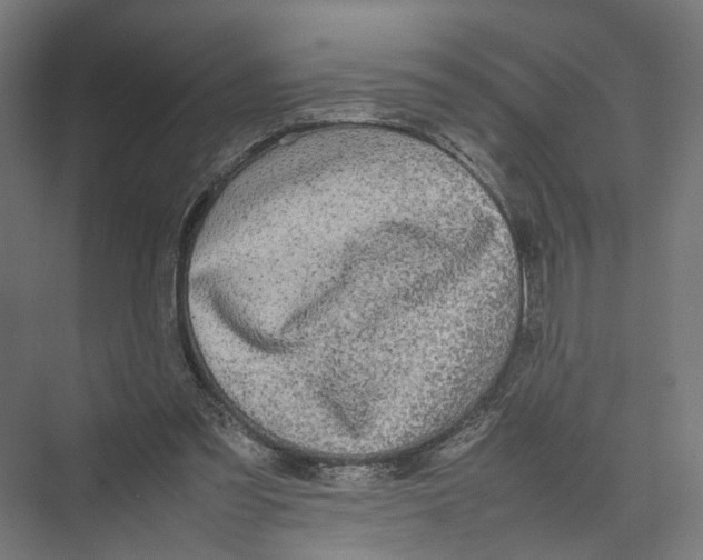 X0000075380301200610061846