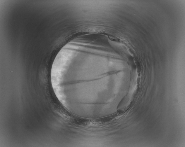 X0000075380303200610061846