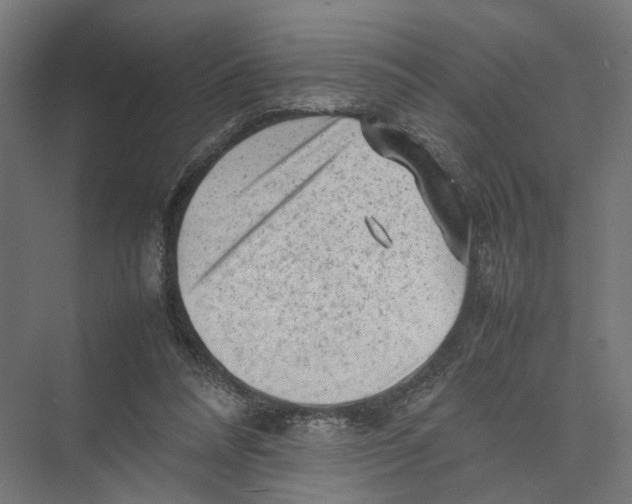 X0000075380304200610061846