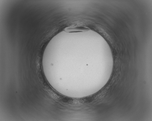 X0000075380305200610061846