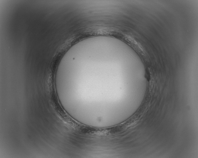 X0000075380306200610061846