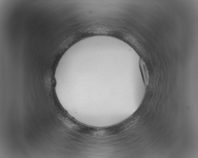 X0000075380309200610061846