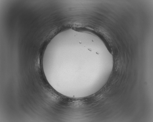 X0000075380310200610061846