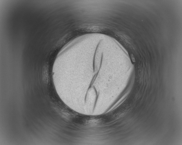 X0000075380312200610061845