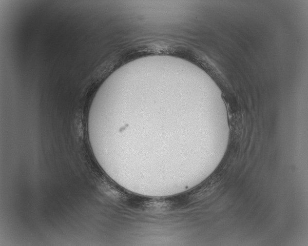 X0000075380313200610061845