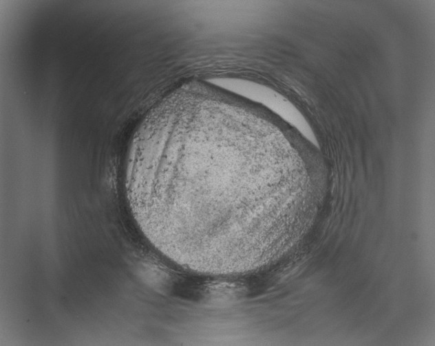 X0000075380315200610061845