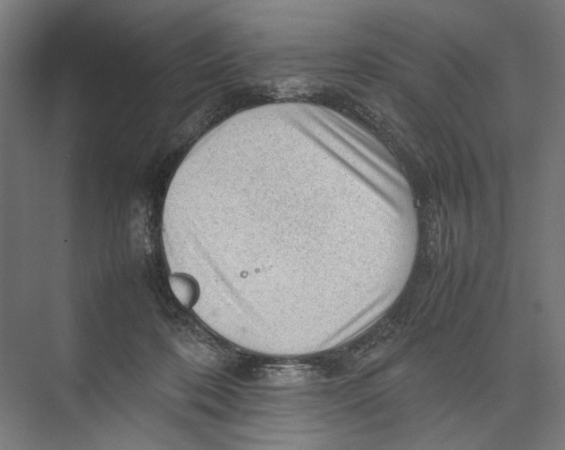 X0000075380316200610061845