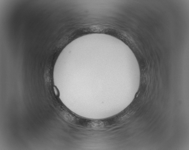 X0000075380317200610061845